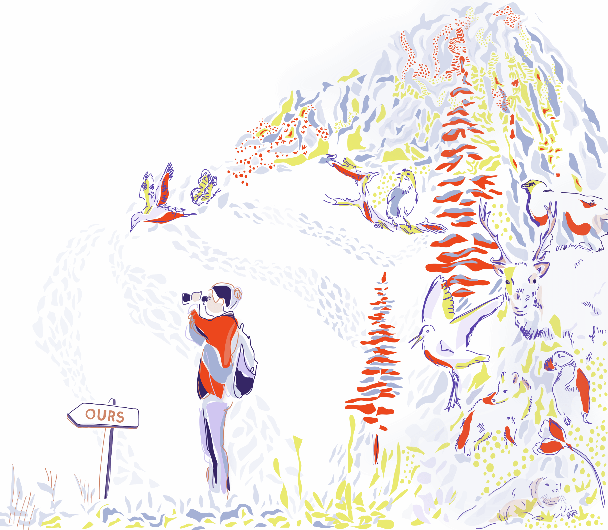 Illustration d'un homme qui regarde dans ses jumelles lors d'une randonnée avec de nombreux animaux